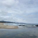 맹방관광지 이미지