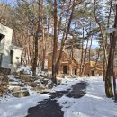 조령산자연휴양림 이미지