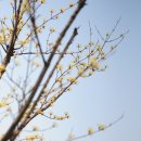 경기도립중앙도서관 이미지