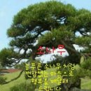 황우 이미지