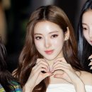 미야오 카카오 검색결과