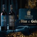 골드온블루 이미지