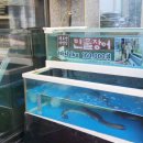 가야면옥 이미지