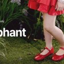 블랙펀트 이미지