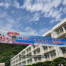 메디칼이송단 이미지