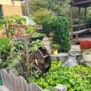 북면오리탕 김해점 이미지