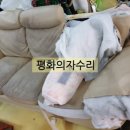 평화의자수리 이미지