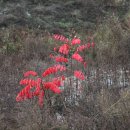 무등산자락 무돌길 14길 광주천길 이미지