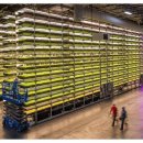 스마트팜의 미래 이미지