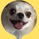 주식회사 비코 이미지