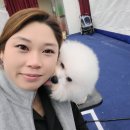 에스티 비숑프리제 네이버블로그