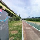 수영강 동천교 이미지