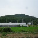 서패동 돌곶이꽃마을 정류장 이미지