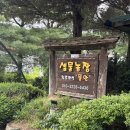 샘물농장 | 리뷰 :: 포천 이색 촌캉스 여름 휴가 힐링여행 후기