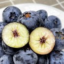 6월9일.허니듀메론,생블루베리,못난이성주참외,벌꿀집,해남고구마(꿀.호박),두리안,수박,산양산삼 이미지