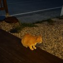 CU평해점 이미지