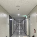 드래곤수 더 여수 | 여수|드래곤수 더 여수(DRAGONSU THE YEOSU)|내돈내산후기