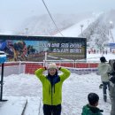 ⛷ 스키 초보의 비 내리는 스키장 당일치기 후기 | 비발디 파크 스키장 | 1월 초