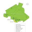 알로하주