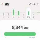 저탄고지(LCHF) 키토인 - 16일차 2606016_계획에 없던 치팅