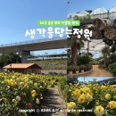 추억을담는꽃 | 6월 대구 수성구 나들이 추천 생각을 담는 정원 꽃구경 대구 실내 놀만한 곳