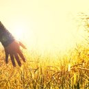 하늘빛사랑정신건강의학과의원 이미지