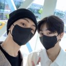 고양이정원 이미지