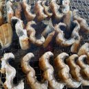 운길산장어 네이버블로그