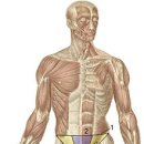 하루, 50분 이미지