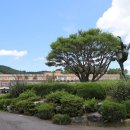 서천여자정보고등학교 이미지