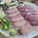 수원-1503 | [곰수산] 수원 망포 대방어 회 맛집 내돈내산 후기 | 진짜 대방어를 두툼하게 썰어주는 곳