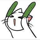 이현리 | 농업의 미래 청년들에게 든든한 양구스마트팜 펀치볼 딸기 디자인과 박스 제작 후기