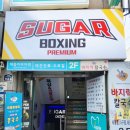 슈가복싱 프리미엄 이미지