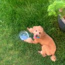 스카이스위트 이미지