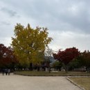 (사)낙안읍성판소리보존회 | 순천 가볼만한곳 낙안읍성 상설공연 관람 후기 과거와 현재가 만나는 곳