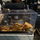 (주)임스타렌트카 | 돌돌효(돌고돌아 효스타임) 후기