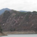 용하초등학교 이미지