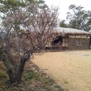 초가정원 이미지