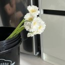 비소(보람)-호-11 | &#39;셀프 부케&#39; 만들기 : 고속터미널&amp;다이소, 구매부터 결과물까지 준비과정, 꿀팁