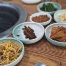 시집못간암돼지 이미지