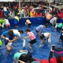 테우가 떠있는 바다 “제17회 보목 자리돔 축제”에 초대합니다. 이미지