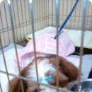 이마트 정문 이미지