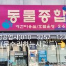 필종합동물병원 네이버블로그