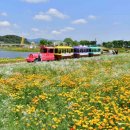 장성문화예술회관 소공연장 이미지