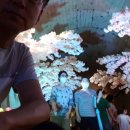 태경농장 이미지