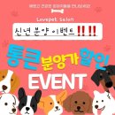 러브펫살롱 이미지