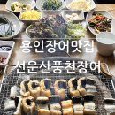 선운산터미널 | 용인 장어 은화삼cc 맛집 룸있는 식당 선운산풍천장어 참숯 사용 국산 장어 효능
