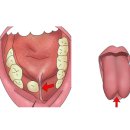 김신향소아과의원 이미지