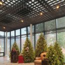 펫갤러리 | 가평애견동반 숙소 아난티코드 펫룸 테라스하우스 후기