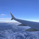 919 | 괌 여행 진에어 LJ919 탑승 후기!기내식, 좌석 간격